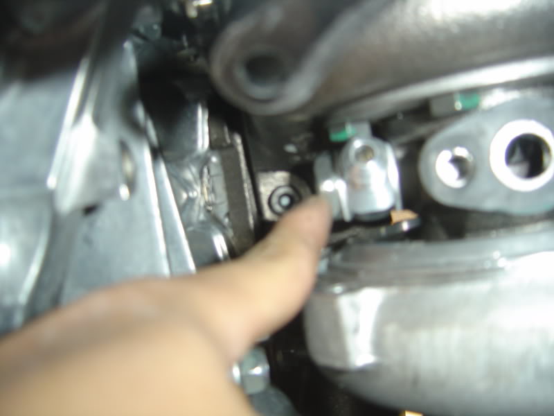 Name:  DSC07648.jpg
Views: 1436
Size:  42.9 KB