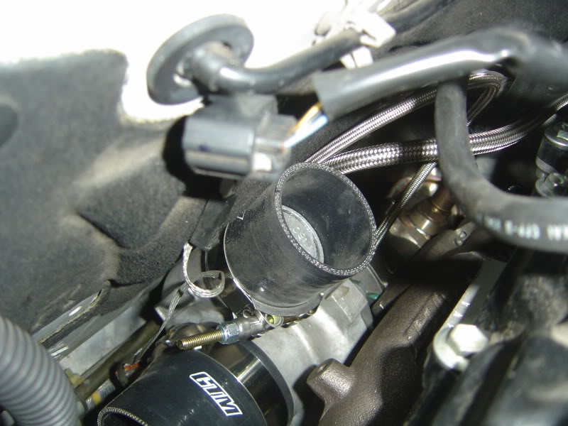 Name:  DSC07692.jpg
Views: 1453
Size:  84.5 KB