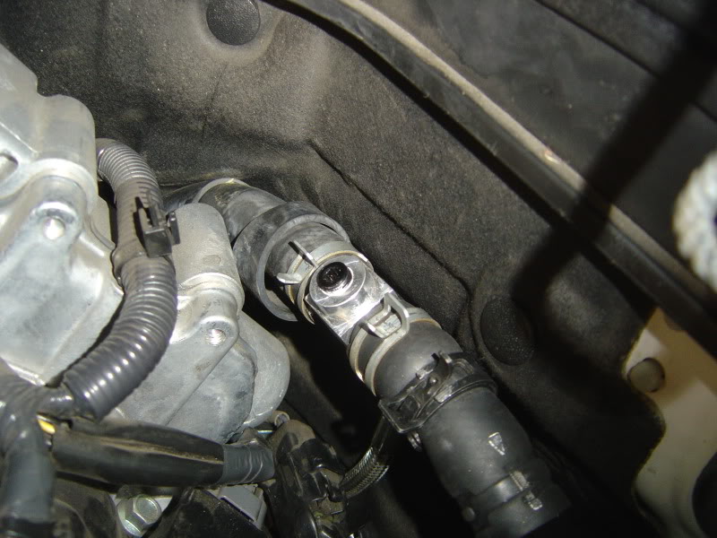 Name:  DSC07687.jpg
Views: 1464
Size:  89.2 KB