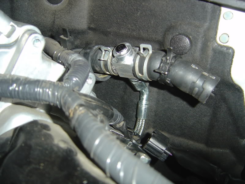 Name:  DSC07688.jpg
Views: 1507
Size:  83.5 KB