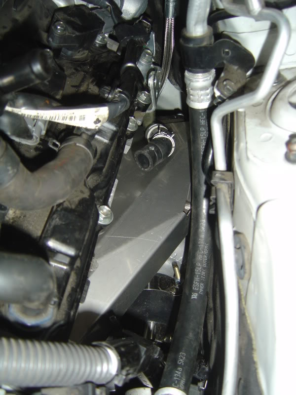 Name:  DSC07691.jpg
Views: 1474
Size:  73.6 KB