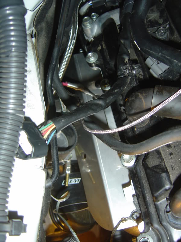 Name:  DSC07693.jpg
Views: 1494
Size:  87.3 KB