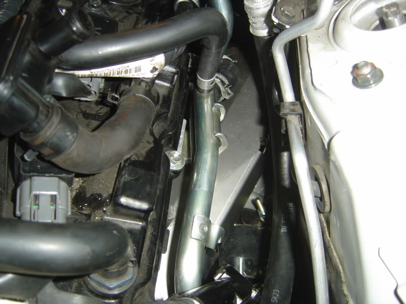 Name:  DSC07694.jpg
Views: 1503
Size:  82.2 KB