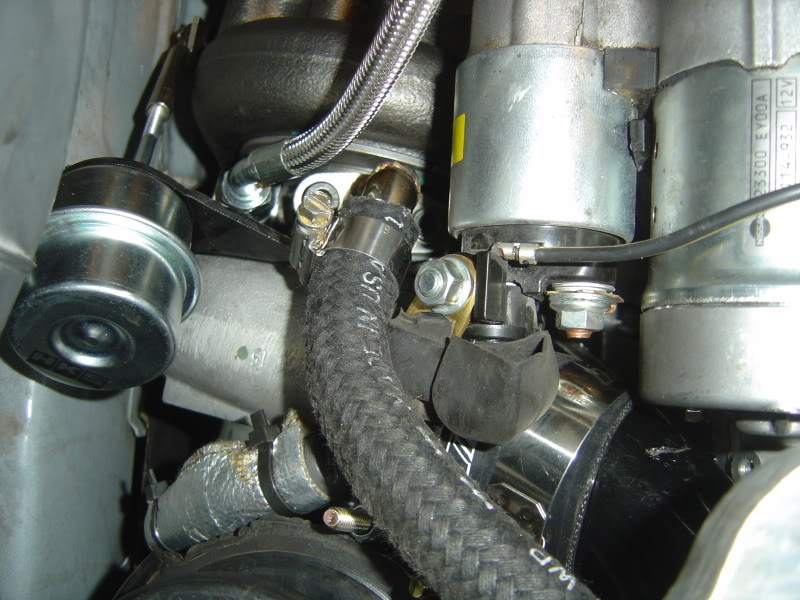 Name:  DSC07655.jpg
Views: 1437
Size:  96.5 KB