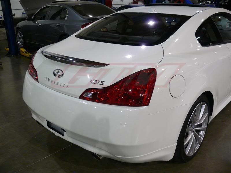 Name:  P1000843-Medium.jpg
Views: 882
Size:  45.5 KB