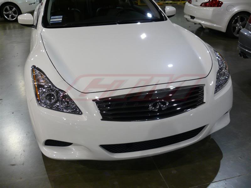 Name:  P1000841-Medium.jpg
Views: 895
Size:  44.7 KB