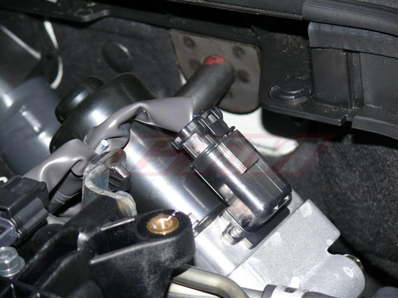 Name:  P1000871-Medium.jpg
Views: 855
Size:  57.9 KB