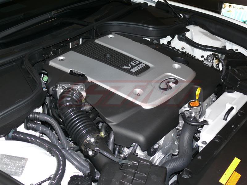 Name:  P1000847-Medium.jpg
Views: 885
Size:  66.4 KB