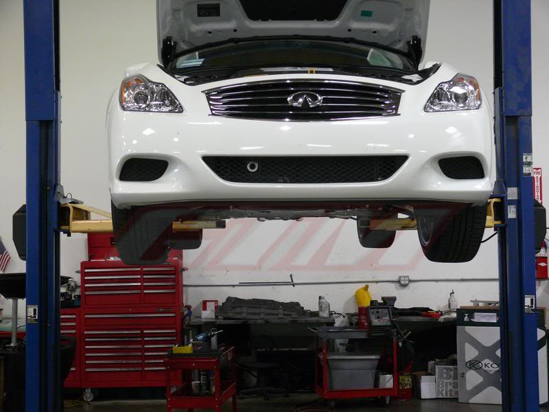 Name:  P1000985copy.jpg
Views: 851
Size:  63.8 KB