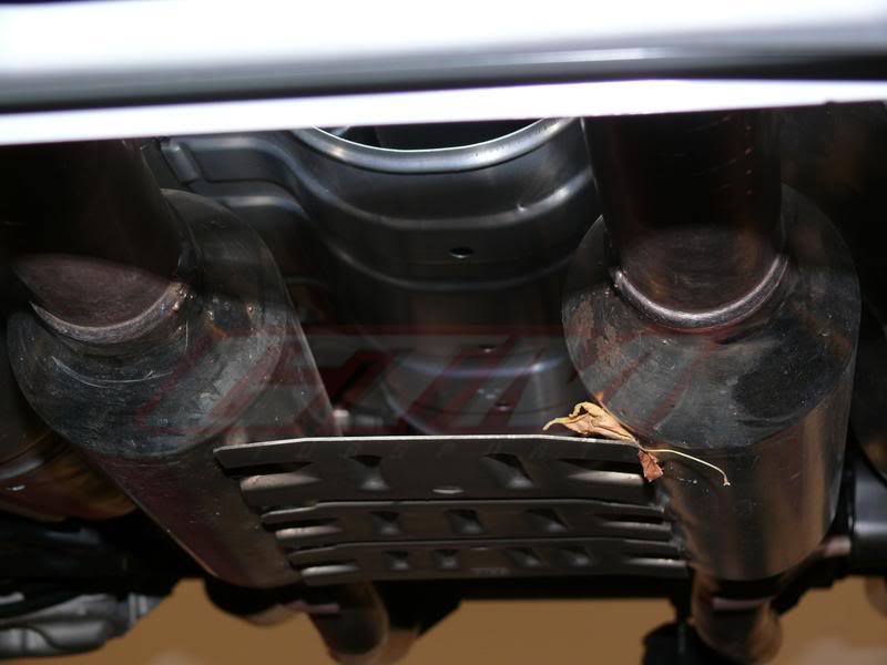 Name:  P1000982copy.jpg
Views: 866
Size:  45.0 KB