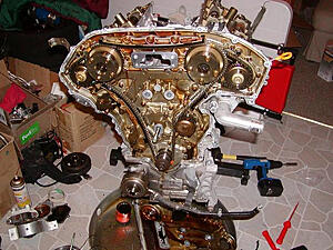 what is a "Timing Cover"?-grjbu.jpg