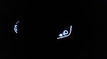 2011 G37x sedan customized-20160401_use.jpg