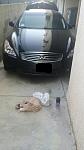 My 08 G37S coupe-2014-06-24-19.01.30.jpg