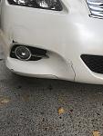 Anyone buy a preprinted bumper online?-photo58.jpg