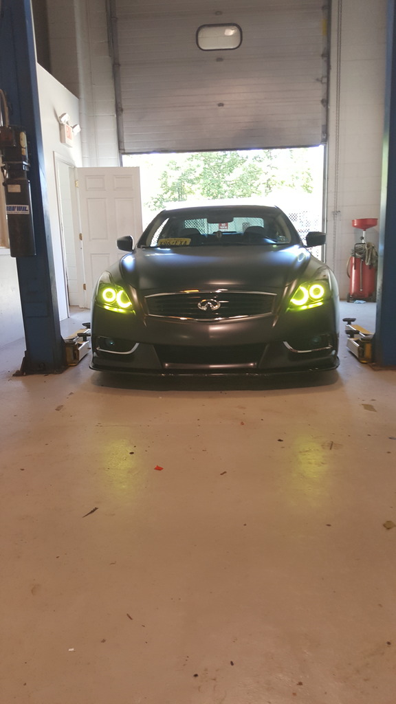 Name:  20160823_112335_zpsnggkfnyh.jpg
Views: 563
Size:  114.0 KB