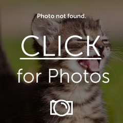 Name:  10616328_10204059948591392_7675778298023697068_n_zpsf2f255f4.jpg
Views: 717
Size:  14.0 KB