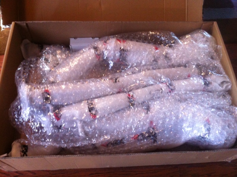 Name:  photo2-2.jpg
Views: 55
Size:  137.4 KB