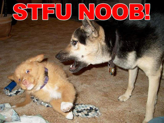 Name:  normal_stfu_noob.jpg
Views: 128
Size:  40.2 KB