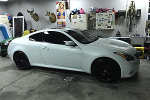 How many G37 owners are in this forum?-photo740.jpg