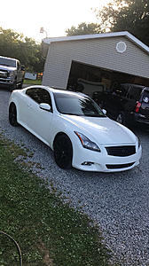 How many G37 owners are in this forum?-photo317.jpg