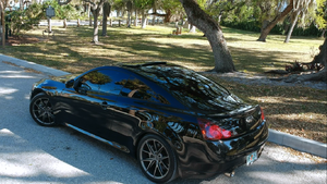 What did you do to your coupe today?-screenshot1.png