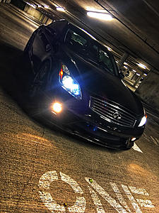 What did you do to your coupe today?-photo943.jpg