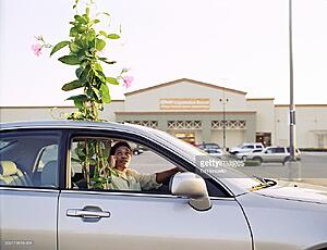You guys think a 5ft potted plant would fit inside the G?-ca1jqmq.jpg