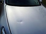 My G37 was introduced to a deer!-photo-2.jpg