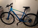 Got hitched and some new pics-bicycle.jpg