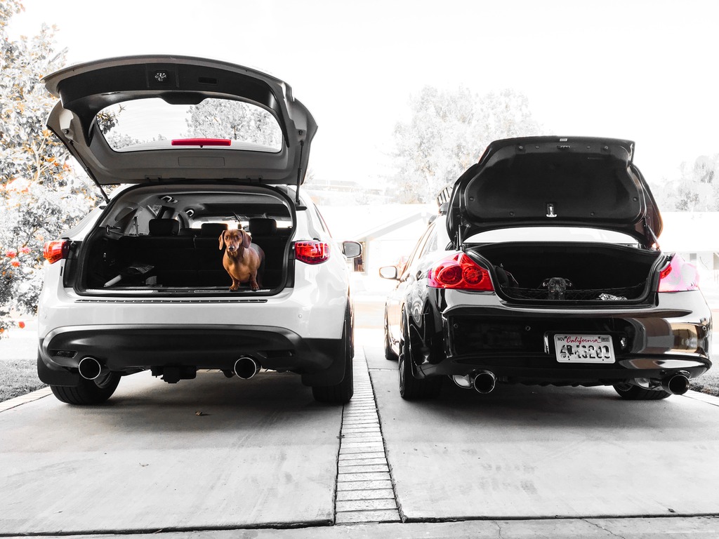 Name:  C4F19F5F-9443-437A-B32D-31F75C418DD1_zpsndok9qan.jpg
Views: 286
Size:  197.0 KB