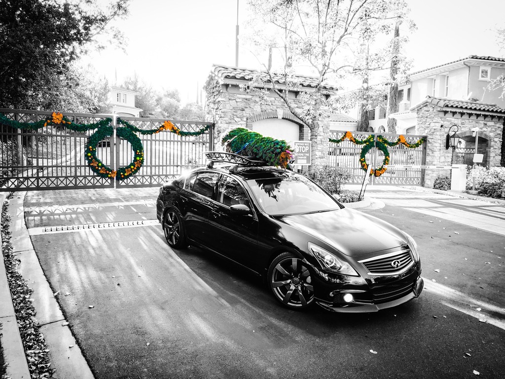 Name:  ABF10AC6-ABC4-44AA-B39E-B16FCFF26FB6_zpszd9t23ew.jpg
Views: 330
Size:  335.5 KB