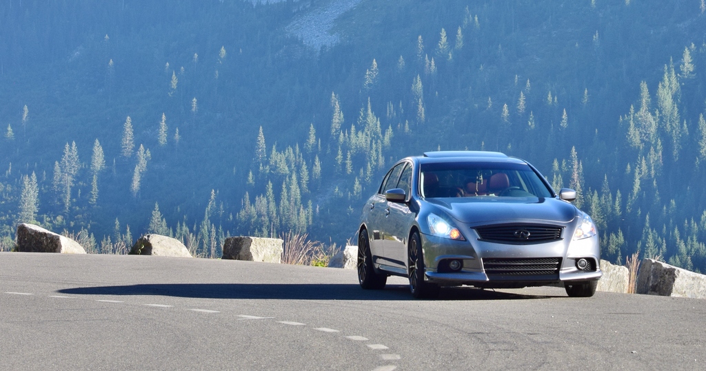 Name:  DSC_0023%202.jpg
Views: 309
Size:  351.8 KB