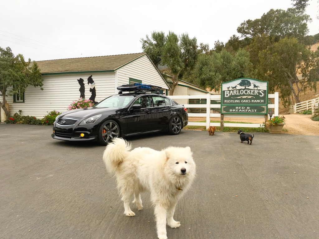 Name:  D03AC193-C06A-4590-8A6D-8B540508BDF6_zps8ouxk2ol.jpg
Views: 335
Size:  258.4 KB