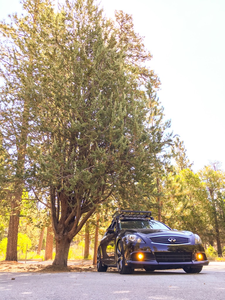 Name:  13D9450C-BA48-4EA9-927C-9C706525A8D4_zps8ipfefwt.jpg
Views: 362
Size:  382.3 KB