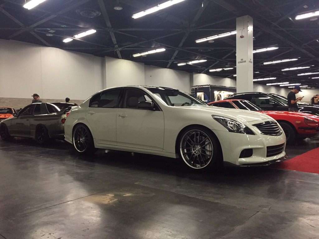 Name:  IMG_6049_zpspsazqn5n.jpg
Views: 368
Size:  177.8 KB