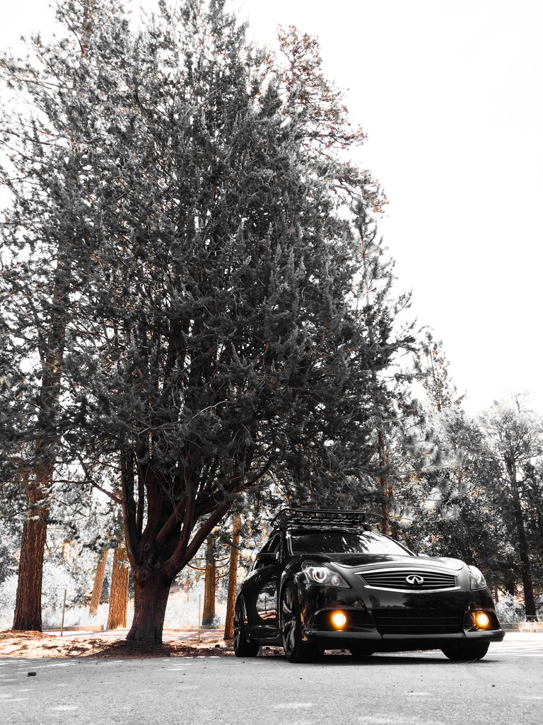 Name:  53394F44-5A22-42F5-9855-7AC3CA2C004D_zpsnqckf9yz.jpg
Views: 329
Size:  366.1 KB