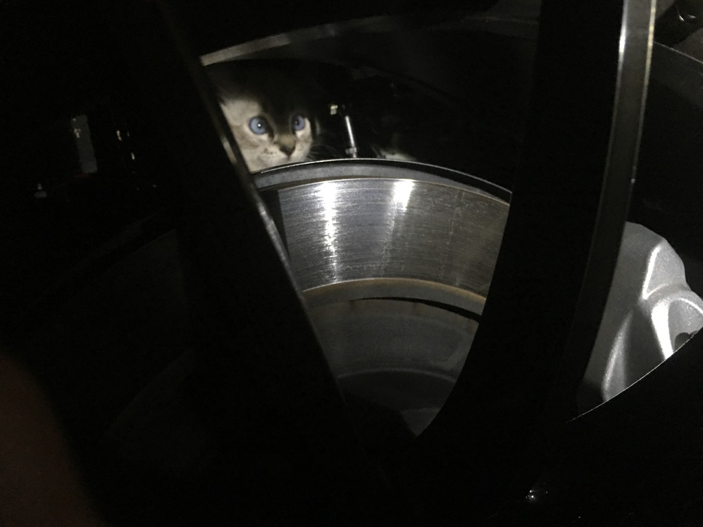 Name:  0A7B6CFF-61BC-4D74-84A3-6DCD790B5EA8_zpscbvszbvc.jpg
Views: 242
Size:  99.4 KB