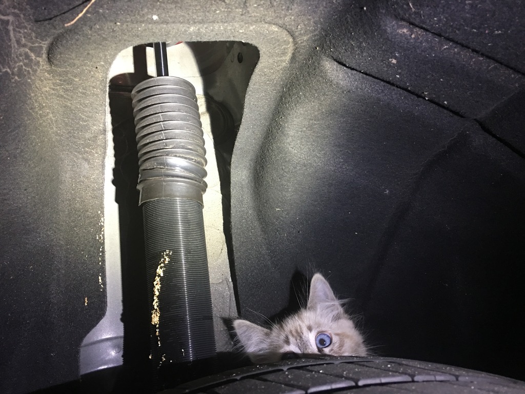 Name:  BDC1EB48-58BD-4726-AEFF-315AB3C644FF_zpspdjnzjtk.jpg
Views: 219
Size:  230.9 KB