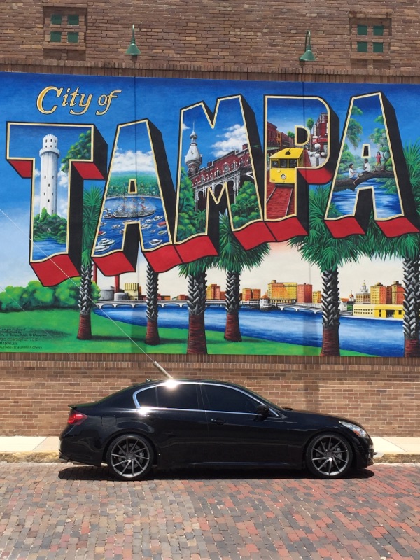 Name:  IMG_8365_zpsbl1zdkhu.jpg
Views: 213
Size:  198.4 KB