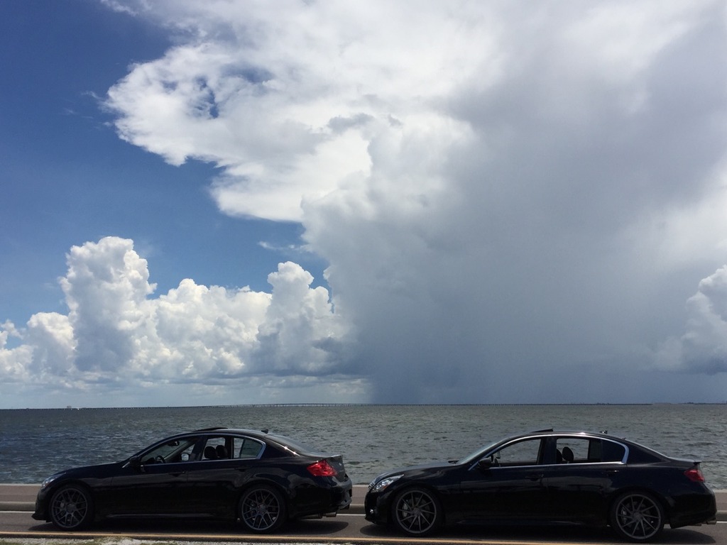 Name:  IMG_1297_zpsrlwce8ti.jpg
Views: 219
Size:  121.6 KB