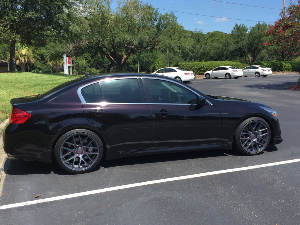 Name:  IMG_6053_zpsmmpmwkc6.jpg
Views: 189
Size:  274.5 KB