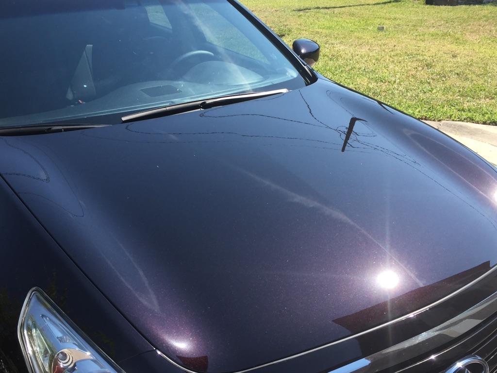 Name:  IMG_4318_zpshapm6mic.jpg
Views: 304
Size:  86.1 KB