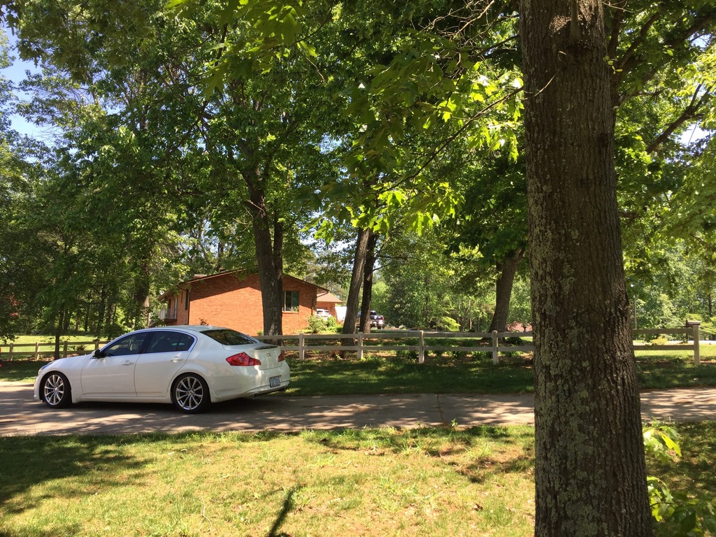 Name:  40525D52-404B-4439-AA5D-334218571EAC_zpsl4bmyg1e.jpg
Views: 310
Size:  400.9 KB