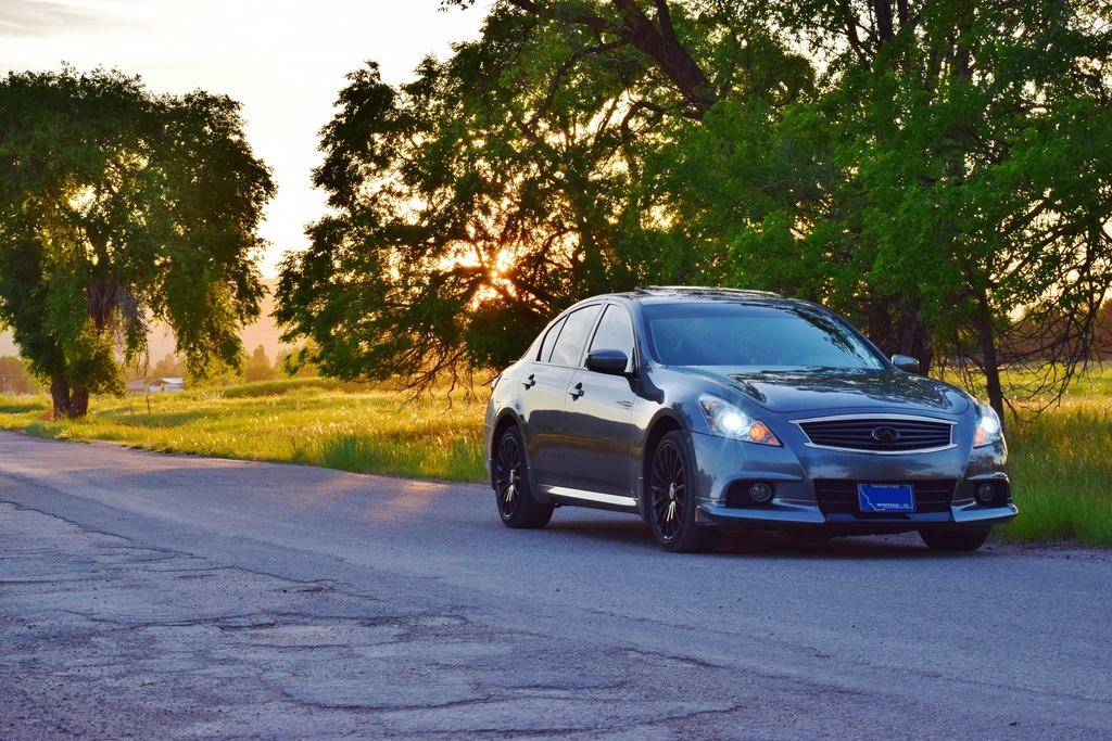 Name:  DSC_0051.jpg
Views: 223
Size:  385.7 KB