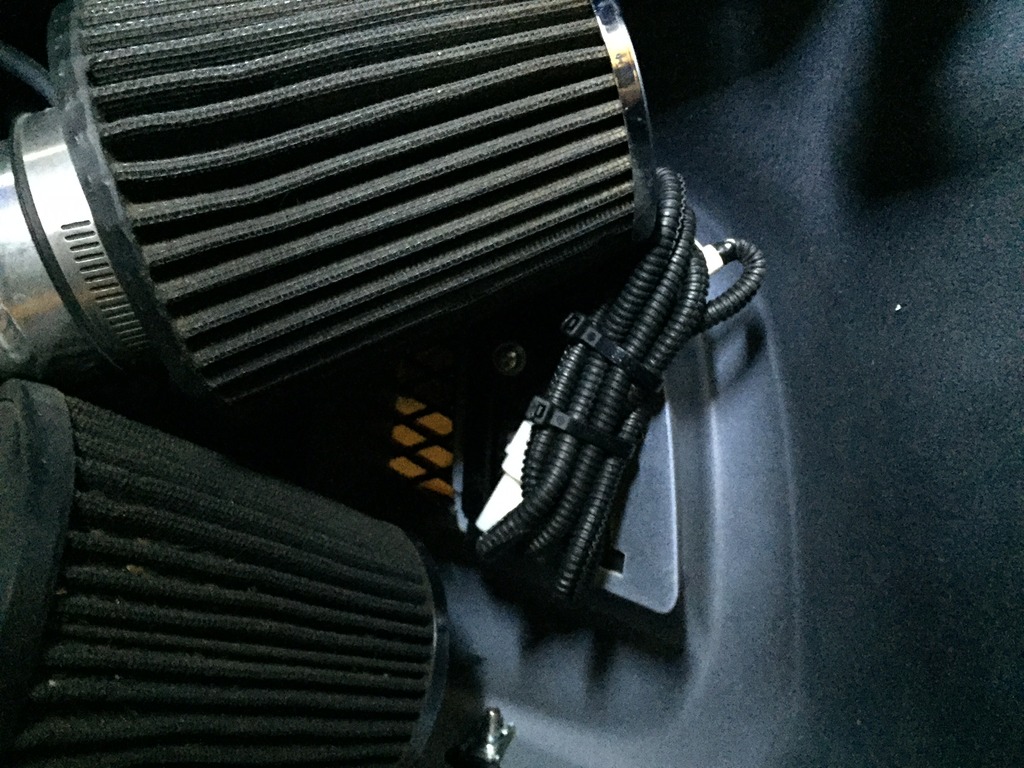 Name:  IMG_4431_zpsepoluisn.jpg
Views: 392
Size:  245.3 KB