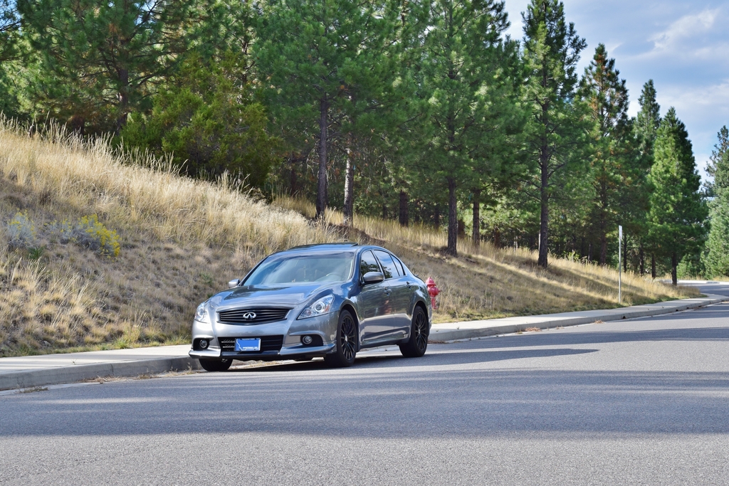 Name:  DSC_0005.jpg
Views: 232
Size:  645.9 KB