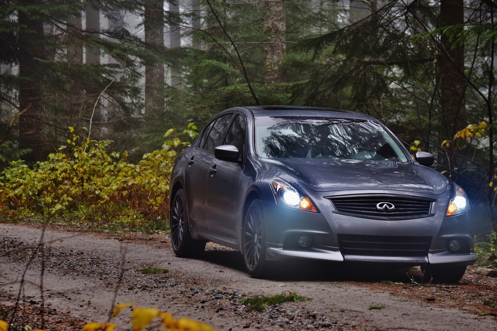 Name:  DSC_0046.jpg
Views: 209
Size:  592.3 KB