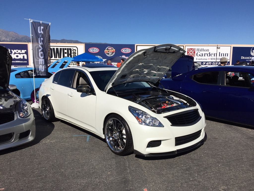 Name:  IMG_4346_zpsgzcputrg.jpg
Views: 178
Size:  248.6 KB