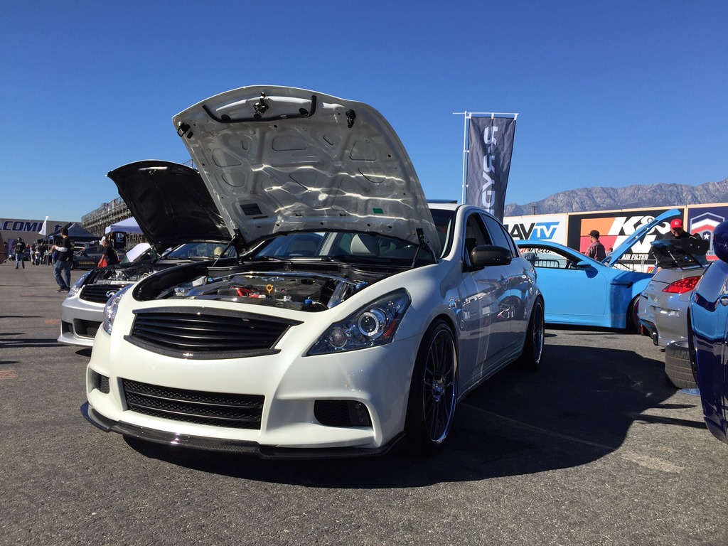 Name:  IMG_4350_zpsa3f4pl0l.jpg
Views: 129
Size:  236.5 KB