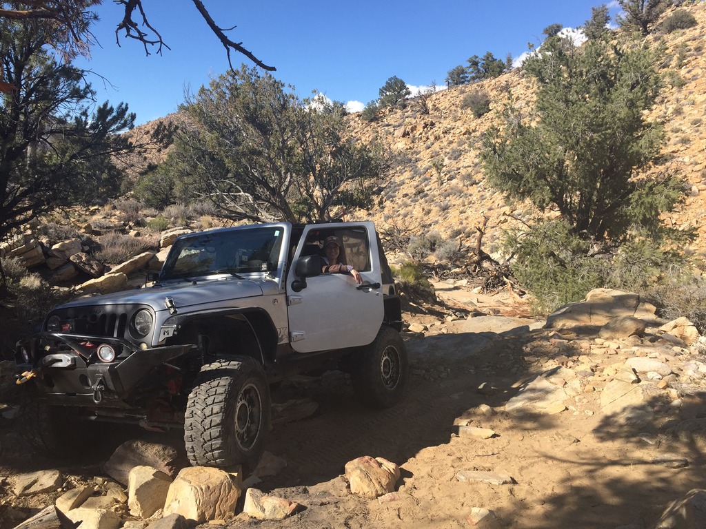 Name:  IMG_4293_zpsh8k9ufpl.jpg
Views: 115
Size:  335.2 KB